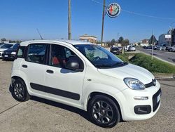 Bianco Usata 2016 Fiat Panda Pop Due volumi | 9500 € (Molto cara)