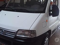 Bianco Usata 2003 Fiat Ducato Furgone | 6500 € (Cara)