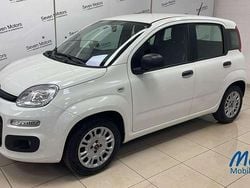 Bianco Usata 2020 Fiat Panda Tre volumi | 10.350 € (Buon prezzo)