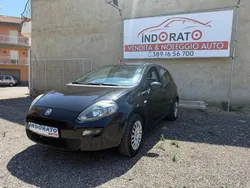 Nero Usata 2012 Fiat Punto Lounge Due volumi | 5800 € (Molto cara)