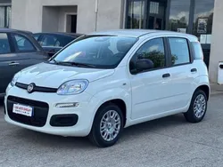 Bianco Nuova 2025 Fiat Panda S Due volumi | 13.900 €