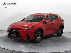 Rosso Usata 2023 Lexus NX450h+ SUV | 43.900 € (Ottimo prezzo)