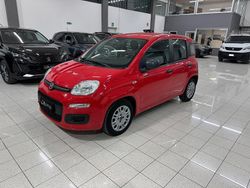 Rosso Usata 2022 Fiat Panda S Due volumi | 8600 € (Ottimo prezzo)