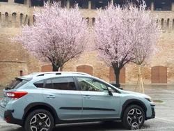 Usata 2018 Subaru XV SUV | 19.900 € (Buon prezzo)