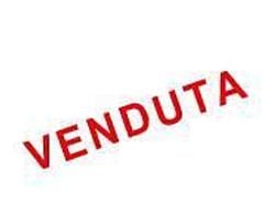 Nero Usata 2024 MG ZS Luxury Tre volumi | 17.700 € (Cara)