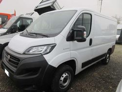 Bianco Usata 2021 Fiat Ducato Furgone | 14.500 € (Buon prezzo)