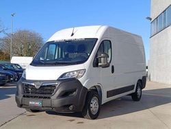 Bianco Usata 2023 Opel Movano S Furgone | 17.200 € (Super prezzo)