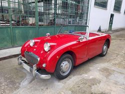 Rosso Usata 1960 Austin Healey Sprite Cabrio | 20.000 €