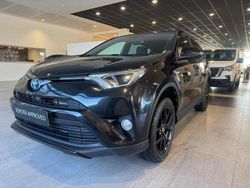 Nero Usata 2019 Toyota RAV4 Hybrid SUV | 19.900 € (Buon prezzo)