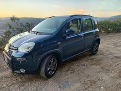 Blu/azzurro Usata 2015 Fiat Panda 4x4 Due volumi | 9000 € (Buon prezzo)