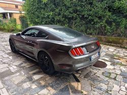 Usata 2017 Ford Mustang Fastback Coupé | 25.000 € (Super prezzo)