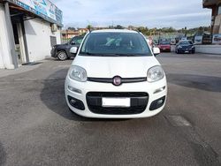 Bianco Usata 2012 Fiat Panda Lounge Tre volumi | 5499 € (Cara)