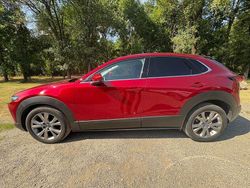 Rosso Usata 2021 Mazda CX-30 SUV | 17.000 € (Ottimo prezzo)