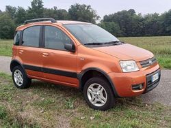 Arancione Usata 2008 Fiat Panda 4x4 Due volumi | 4900 € (Buon prezzo)