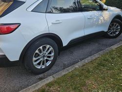 Bianco Usata 2021 Ford Kuga SUV | 21.000 € (Buon prezzo)