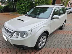 Bianco Usata 2011 Subaru Forester Trend SUV | 5400 € (Ottimo prezzo)