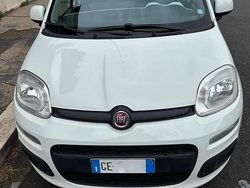 Bianco Usata 2019 Fiat Panda Tre volumi | 8500 € (Buon prezzo)
