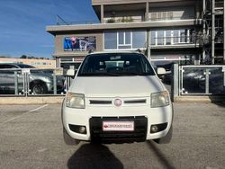 Bianco Usata 2011 Fiat Panda 4x4 Climbing Due volumi | 6900 € (Cara)