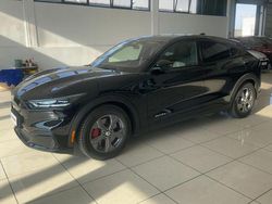 Nero Usata 2023 Ford Mustang Mach-E SUV | 33.099 € (Buon prezzo)