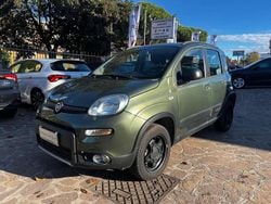 Verde Usata 2018 Fiat Panda 4x4 S Due volumi | 8900 € (Buon prezzo)