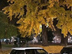 Blu Usata 2014 Mini Countryman SUV | 11.000 € (Molto cara)