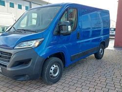 Blu Usata 2020 Fiat Ducato Furgone | 12.800 € (Super prezzo)