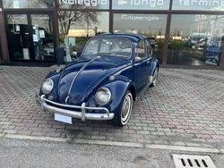 Blu/azzurro Usata 1967 VW Maggiolino Due volumi | 12.900 €