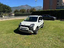 Bianco Usata 2024 Fiat Panda Cross Cross Due volumi | 14.900 € (Cara)