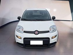 Bianco Usata 2024 Fiat Panda Due volumi | 11.500 € (Buon prezzo)