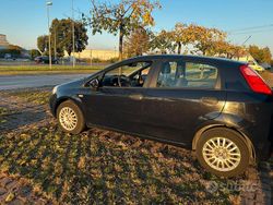 Usata 2015 Fiat Punto Lounge Due volumi | 5500 € (Buon prezzo)