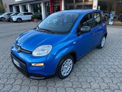 Blu Usata 2025 Fiat Panda S Tre volumi | 12.900 € (Buon prezzo)