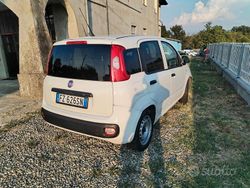Bianco Usata 2019 Fiat Panda Pop Due volumi | 4300 € (Super prezzo)