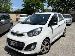 Bianco Usata 2012 Kia Picanto 2 Due volumi | 4500 € (Buon prezzo)