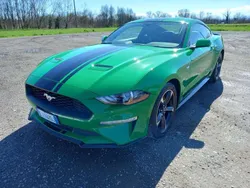Usata 2019 Ford Mustang Fastback Coupé | 25.900 € (Super prezzo)
