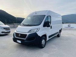 Bianco Usata 2019 Fiat Ducato Furgone | 10.899 € (Ottimo prezzo)
