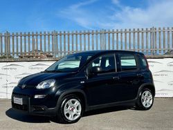 Nero Usata 2023 Fiat Panda City Life Due volumi | 13.950 € (Molto cara)