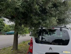 Usata 2023 Citroën e-Berlingo Shine Monovolume | 25.500 €