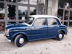 Blu Usata 1950 Fiat 1100 | 14.500 €