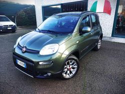 Verde Usata 2016 Fiat Panda 4x4 Due volumi | 12.890 € (Buon prezzo)