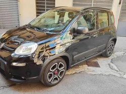 Nero Usata 2022 Fiat Panda City Life Due volumi | 11.500 € (Buon prezzo)