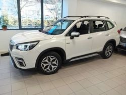 Bianco Usata 2020 Subaru Forester Style SUV | 23.000 € (Super prezzo)