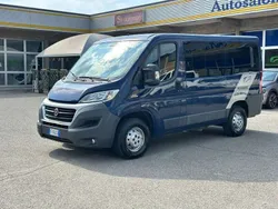 Blu Usata 2016 Fiat Ducato Furgone | 19.900 € (Molto cara)
