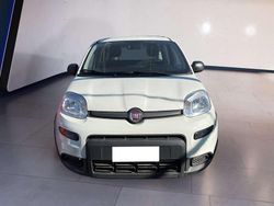 Bianco Usata 2024 Fiat Panda Due volumi | 11.500 € (Buon prezzo)