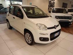 Bianco Usata 2013 Fiat Panda Lounge Due volumi | 7500 € (Cara)