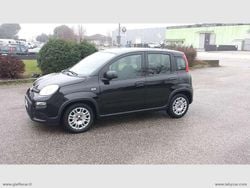 Nero Usata 2023 Fiat Panda S Tre volumi | 9800 € (Ottimo prezzo)