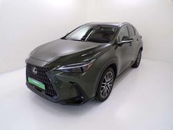Verde perlato met Usata 2022 Lexus NX450h+ Luxury Line SUV | 46.300 € (Cara)