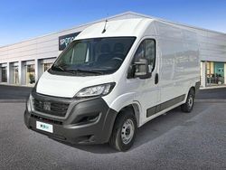 Bianco Usata 2024 Fiat Ducato 33 Furgone | 18.900 € (Ottimo prezzo)