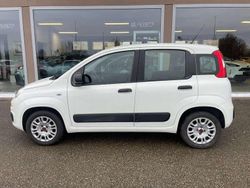 Bianco Usata 2019 Fiat Panda Pop Tre volumi | 10.300 € (Buon prezzo)
