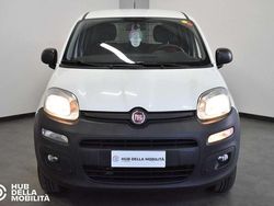 Bianco Usata 2020 Fiat Panda 4x4 Pop Due volumi | 7900 € (Super prezzo)