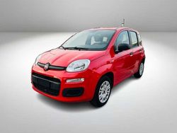 Rosso Usata 2019 Fiat Panda Connect Tre volumi | 8300 € (Ottimo prezzo)